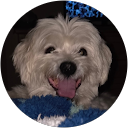 Chij Z3Gskfqri9Yetugkdxw D0Ebcb93576F1Fdc08577021191704C1 | Nw Recruiting Partners Amy Gannon Profile Picture