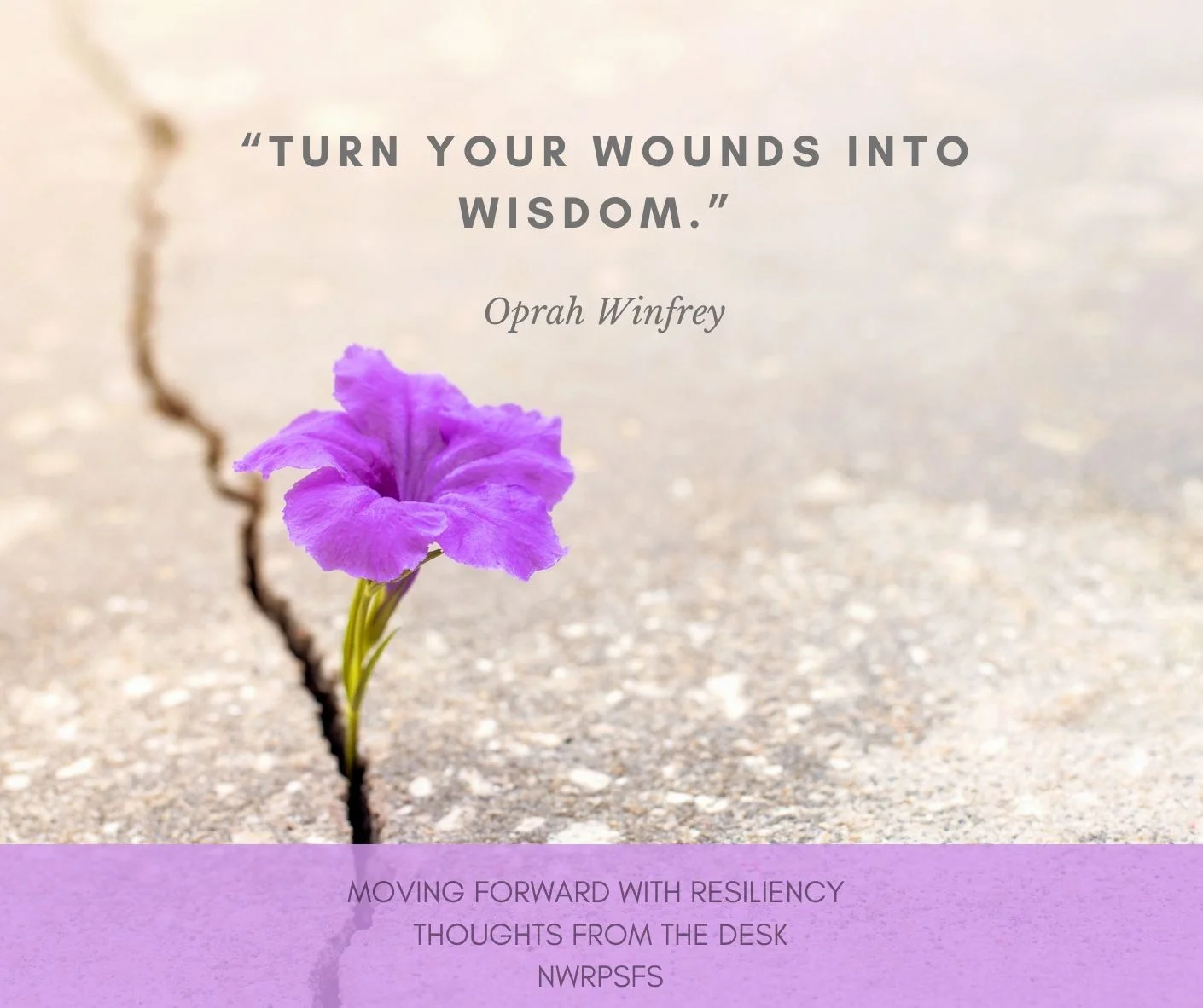 Turn Your Wounds Into Wisdom– Oprah Winfrey