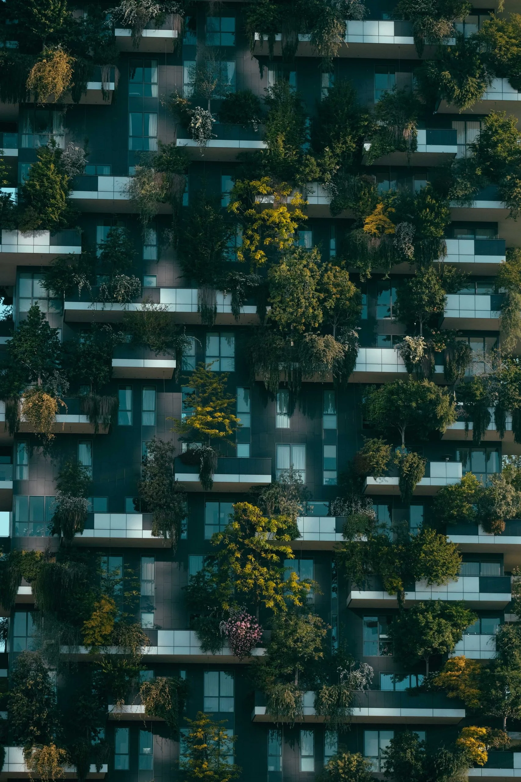 Sustainability For The Environment And The Workforce | Nw Recruiting Partners